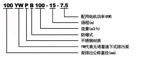 YW無堵塞排污液下泵型號(hào)意義
