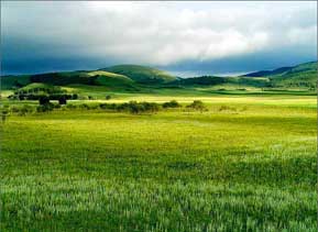 �让晒抛灾�^北�c蒙古、俄�_斯接壤，�|西�缀�M跨整��中��，是我��跨�度最大的省份。�让晒挪�H有著得天��厚的�S富自然景�^，而且有著�庥舻拿褡屣L情。      �V�的草原主要分布在�让晒诺奈鞑�。草原是�让晒诺�酥�，自古以�砭褪侨��歌�和